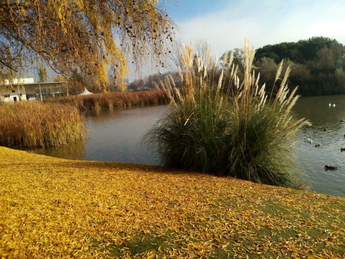 라구나데두에로 La Laguna 아파트 외부 사진